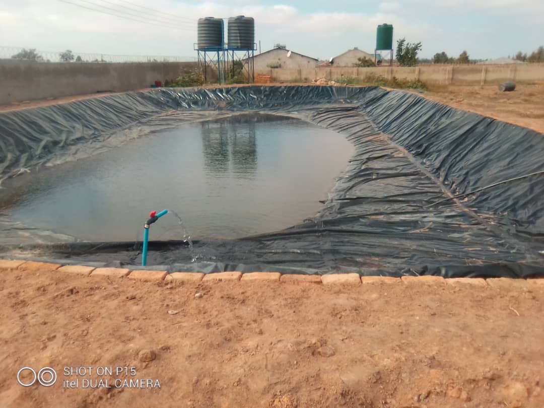 Fish Pond Construction